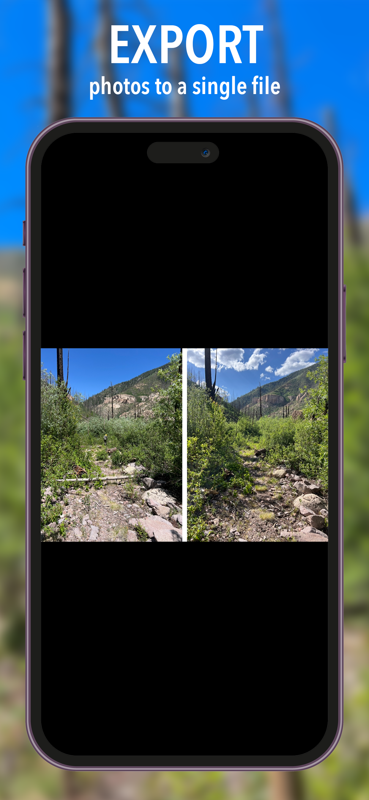 Export photos to a single file